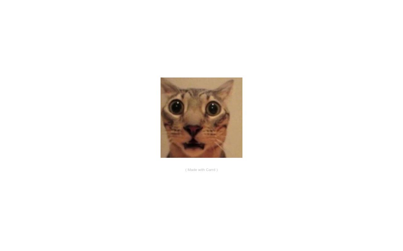 Carrd profile picture for @exposing